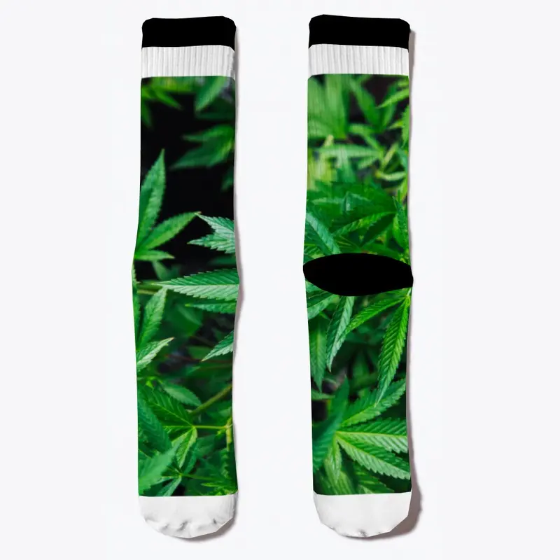 Marijuana Accessories 